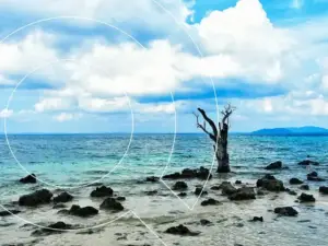 Andaman tour packages