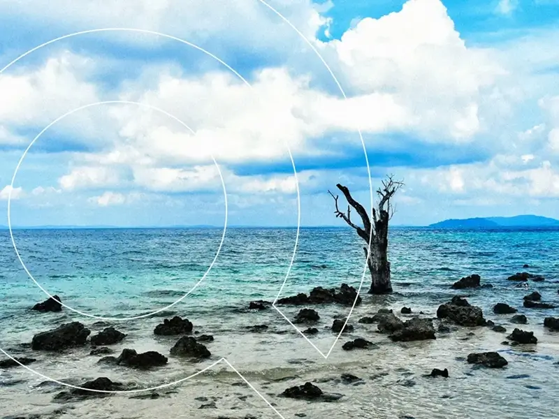 Andaman tour packages