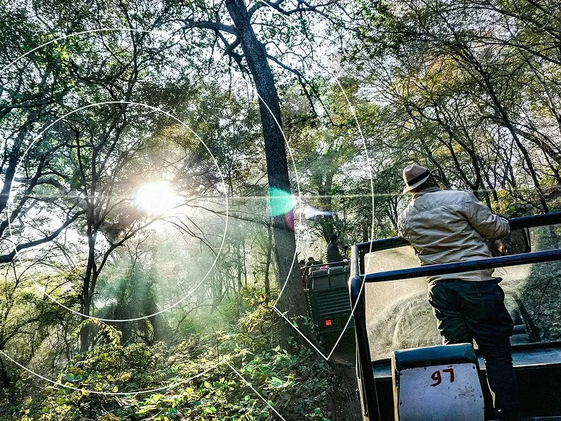 Ranthambore-Special-Tour-Packages