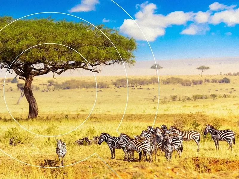 South Africa tour packages from India