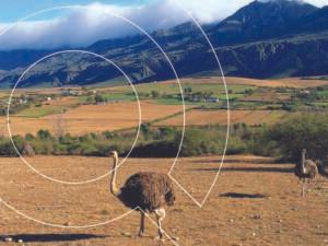 South Africa A Nation Of Diversity